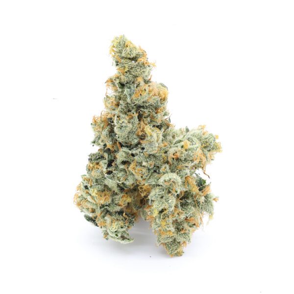 Super Melonaid Indoor Sativa