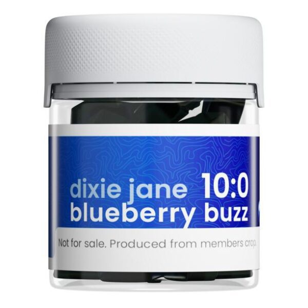 Blueberry Buzz Gummies, 10mg THC
