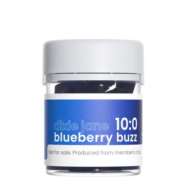 Blueberry Buzz Gummies, 10mg THC