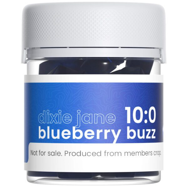 Blueberry Buzz THC Gummies 10mg