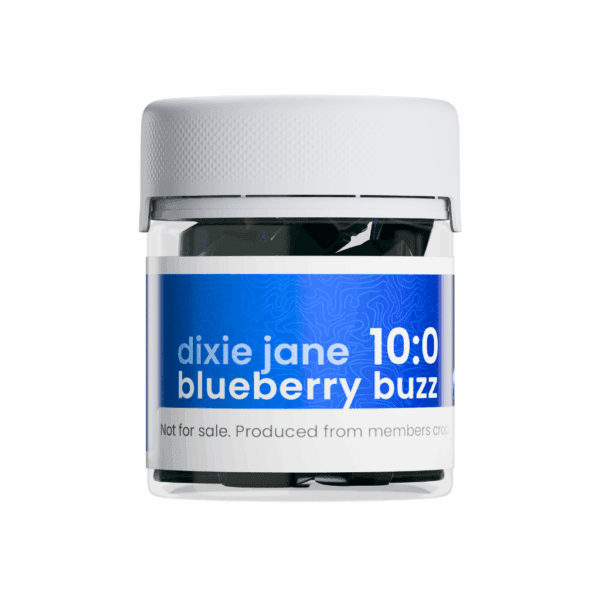 Blueberry Buzz Gummies, 10mg THC