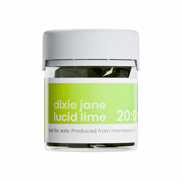 Lucid Lime Gummies, 20mg THC