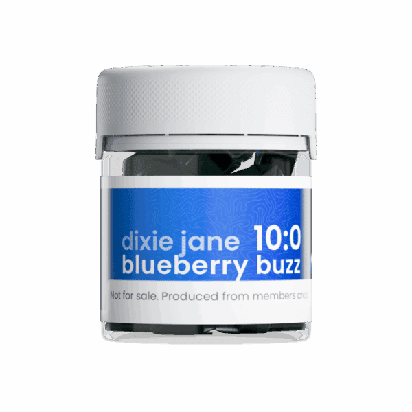Blueberry Buzz Gummies, 10mg THC
