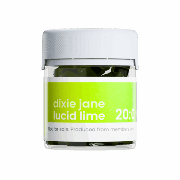Lucid Lime Gummies, 20mg THC