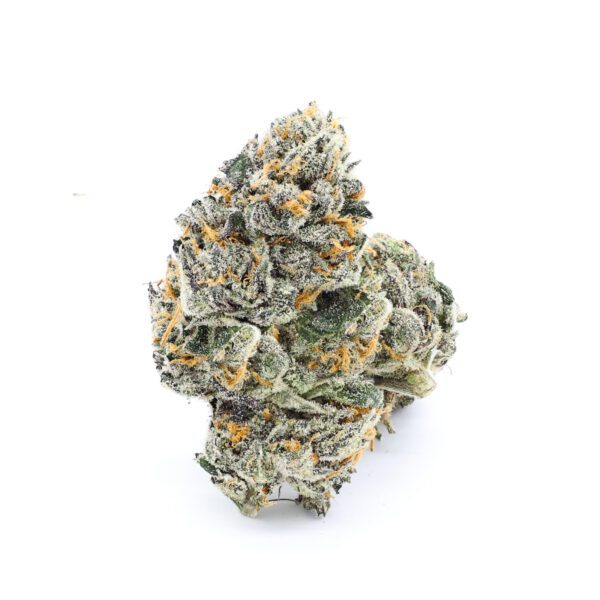 London Marker Indoor Hybrid