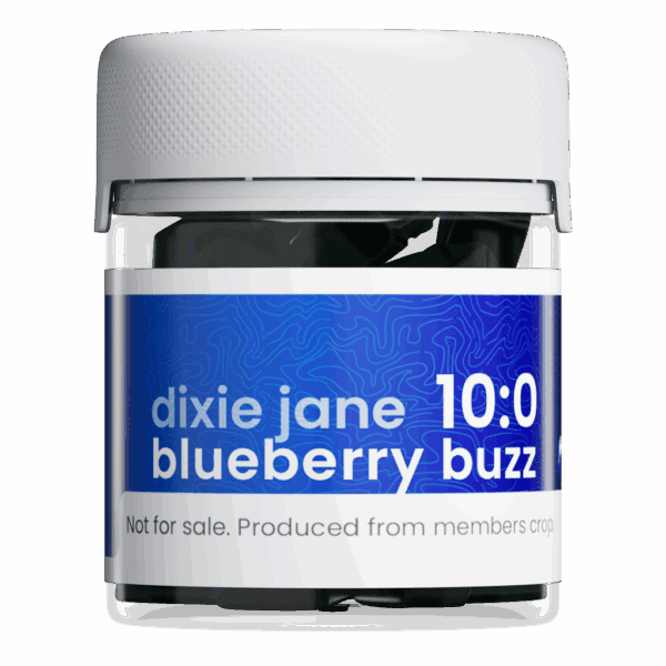 Blueberry Buzz Gummies, 10mg THC